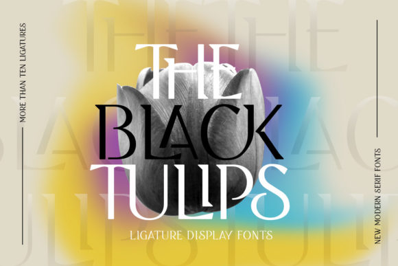 Black Tulip: Elevating Design with Elegant Serif Typography
