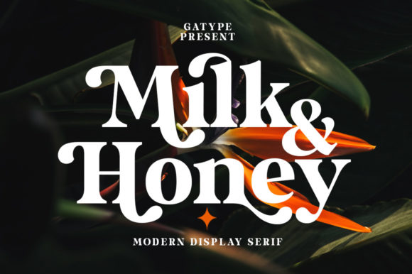 The Art of Bold Typography: Mastering the Milk and Honey Typeface